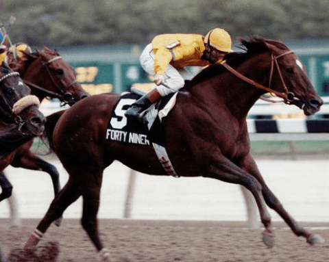 screenshot-2017-02-21-at-5-14-39-am