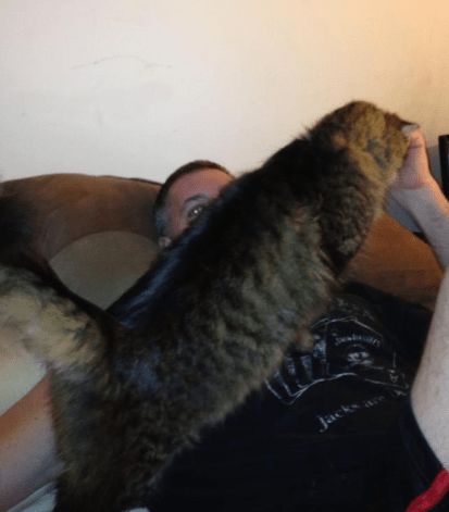 Screenshot 2018-08-15 at 5.38.35 AM